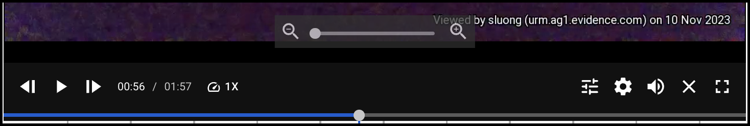 Media player zoom controls in Axon Evidence