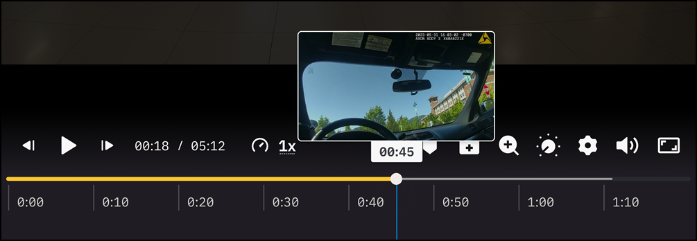 Thumbnail preview in the Axon Evidence media player.