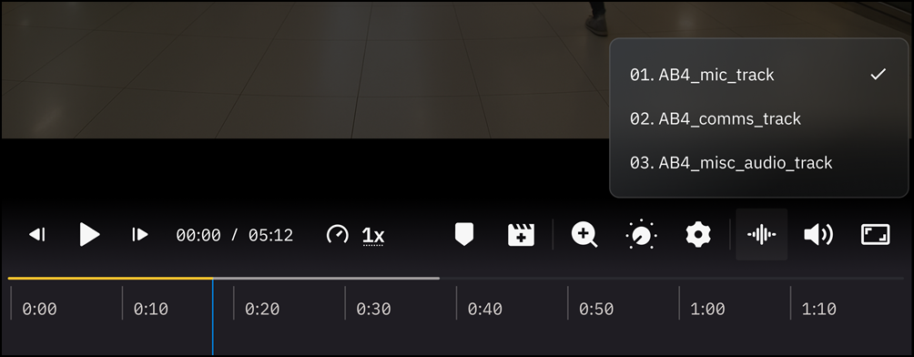 Multiple audio stream options in the media player.