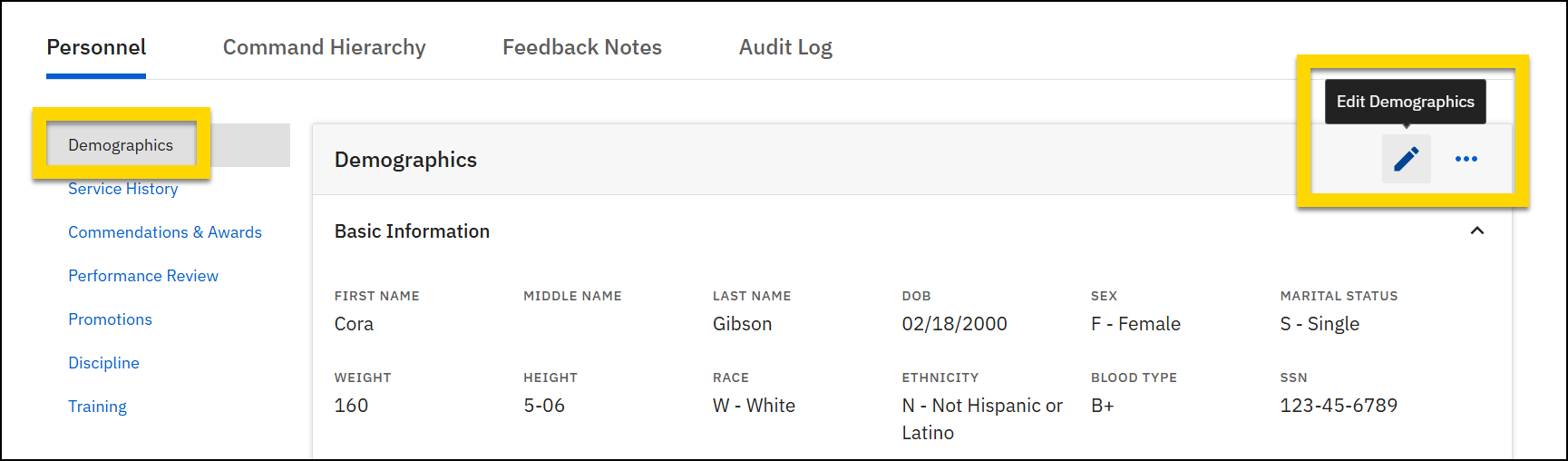 The image shows the Personnel tab on a My Profile page with a yellow highlight around the Demographics option in the left sidebar and the edit icon in the top right of the demographics panel.