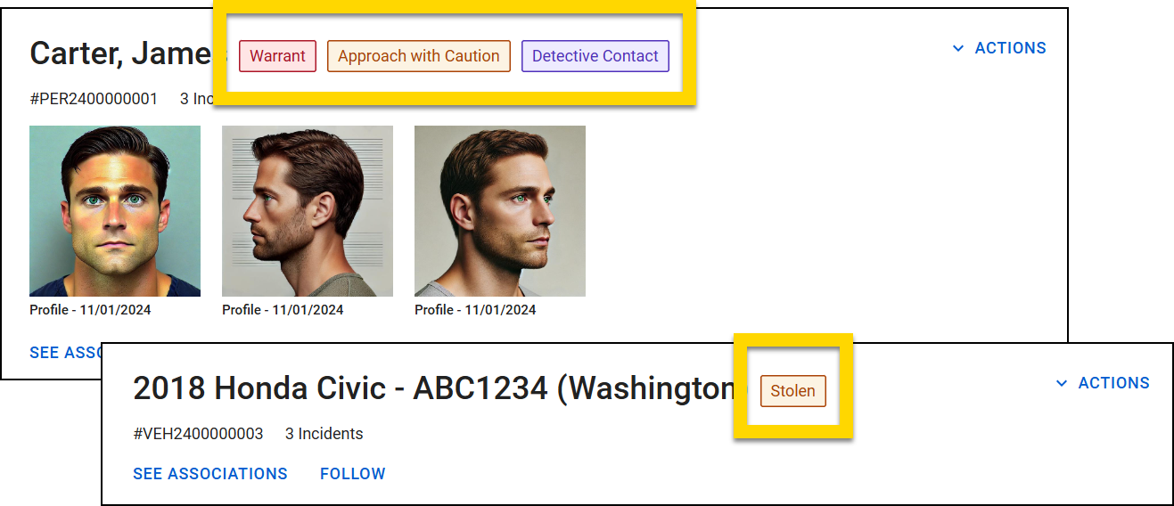 The image shows two screenshots of profile headings. The first screenshot displays a person profile with labels that appear beside the persons's name: Warrant, Approach with Caution, and Detective Contact. The second screenshot shows a vehicle profile with a label of Stolen.