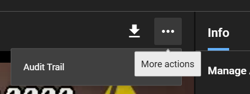 audit trail selection in the more actions button
